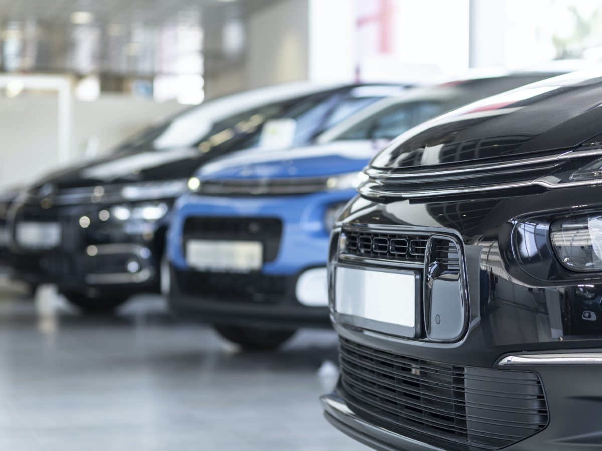 Low angle of extravagance store with cars in a row for sale
